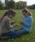 2 girls making daisy chains with dandelions