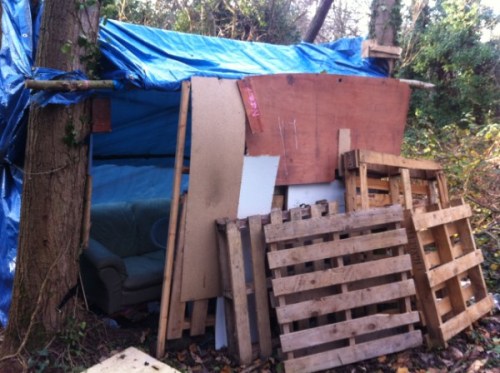 Den in Epping Forest