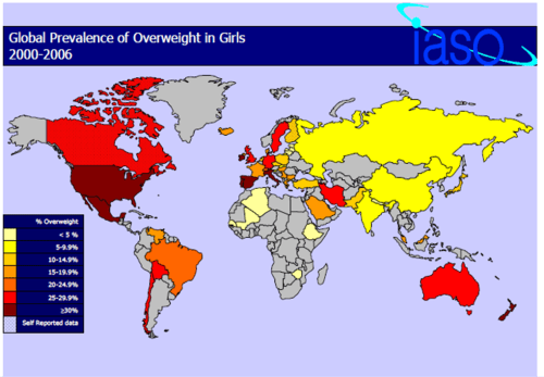 Obesity map 3 World obesity map for girls after 2000