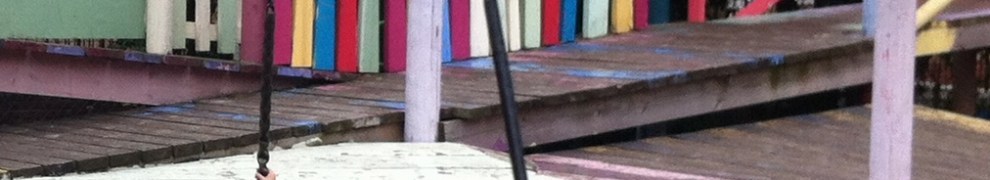 Glamis Adventure Playground double swing