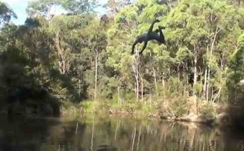 video still of boy diving into forest lake