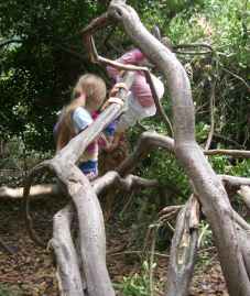 2 girls playing in the bushes