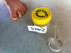 specimen jar and magnifying glass