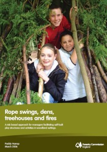 Forestry Commission rope swings report cover