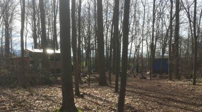 Freiburg forest kindergarten buildings